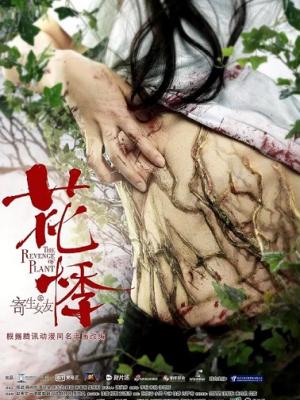 影视作品